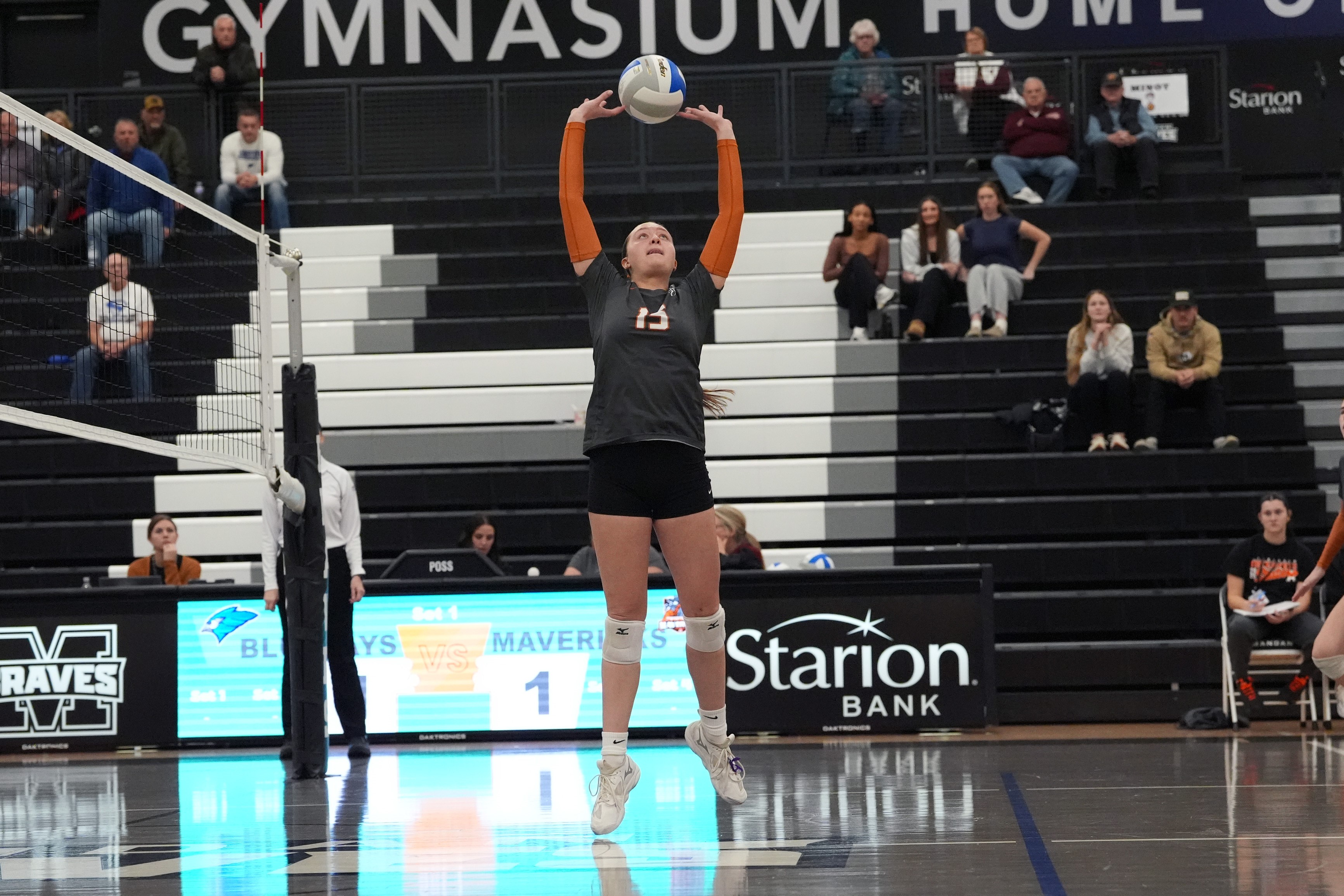 Volleyball