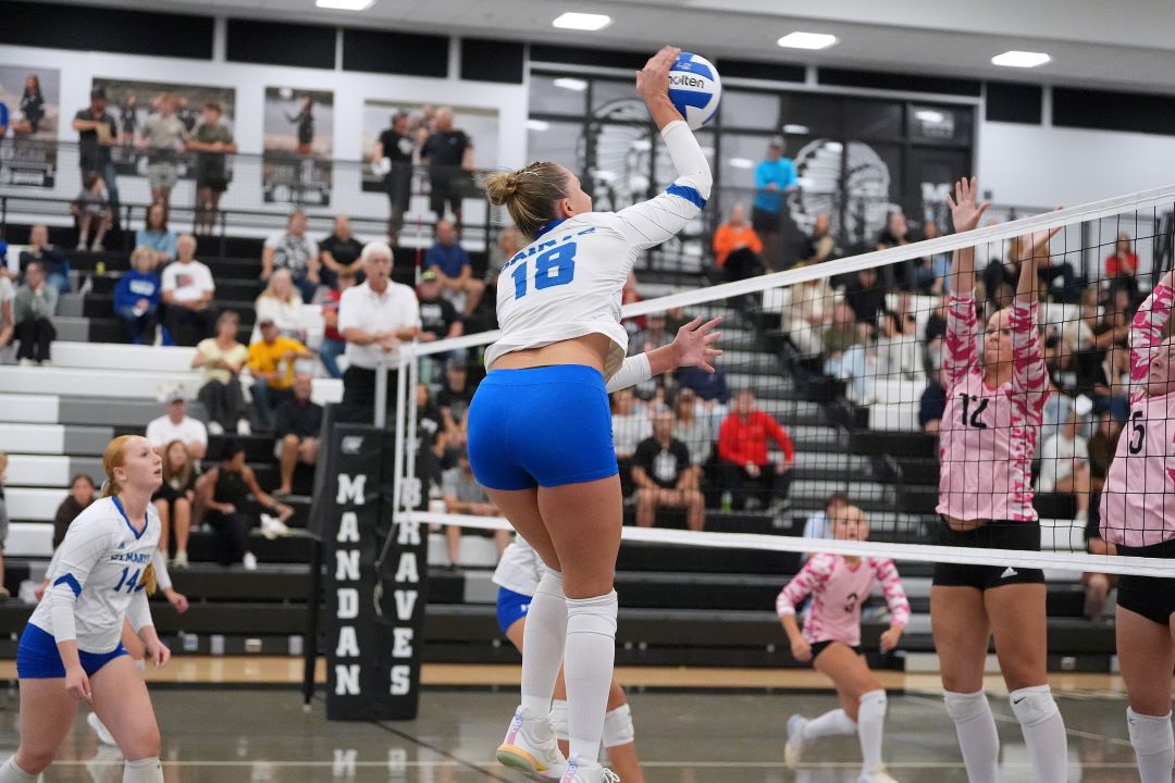 Volleyball