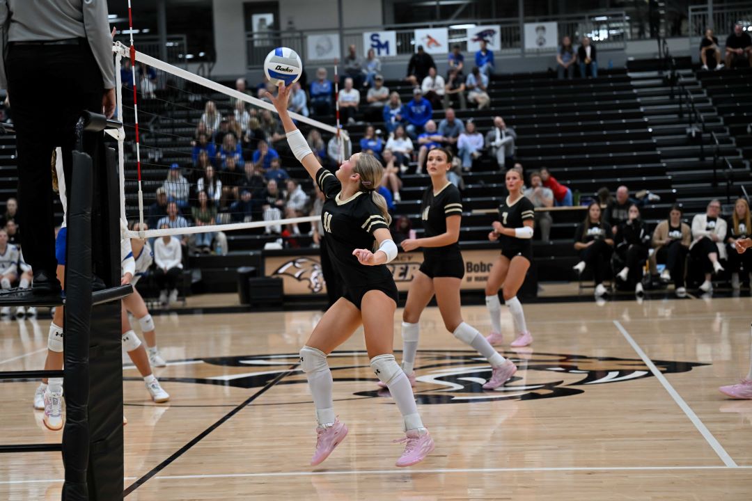 Volleyball