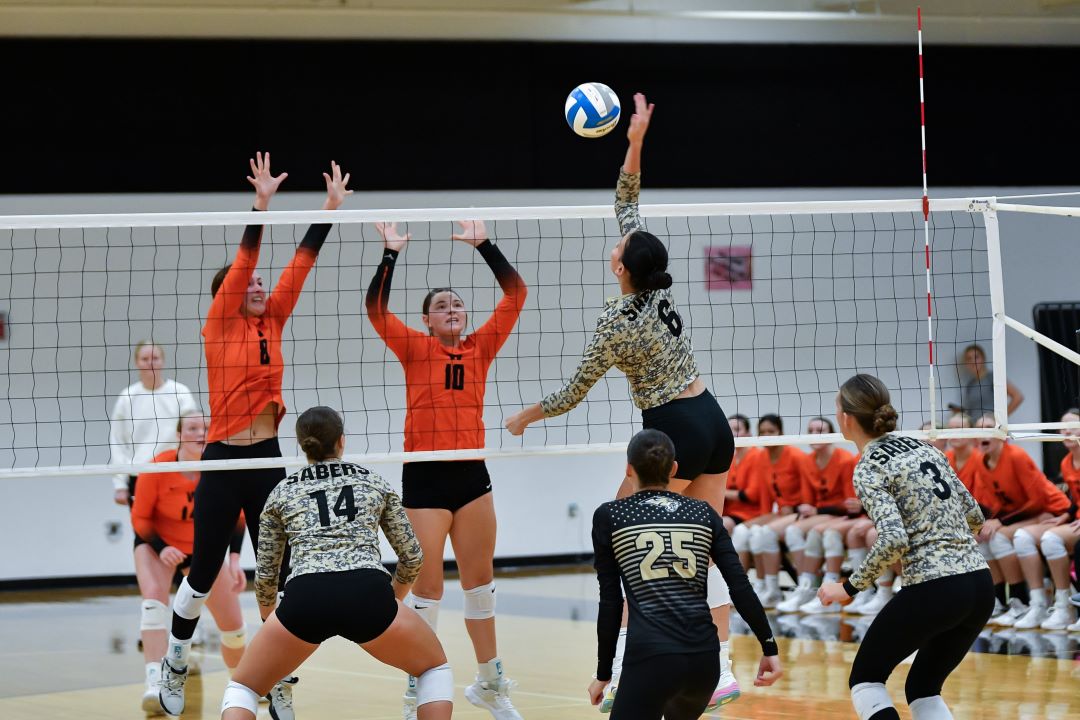 Volleyball volleyball