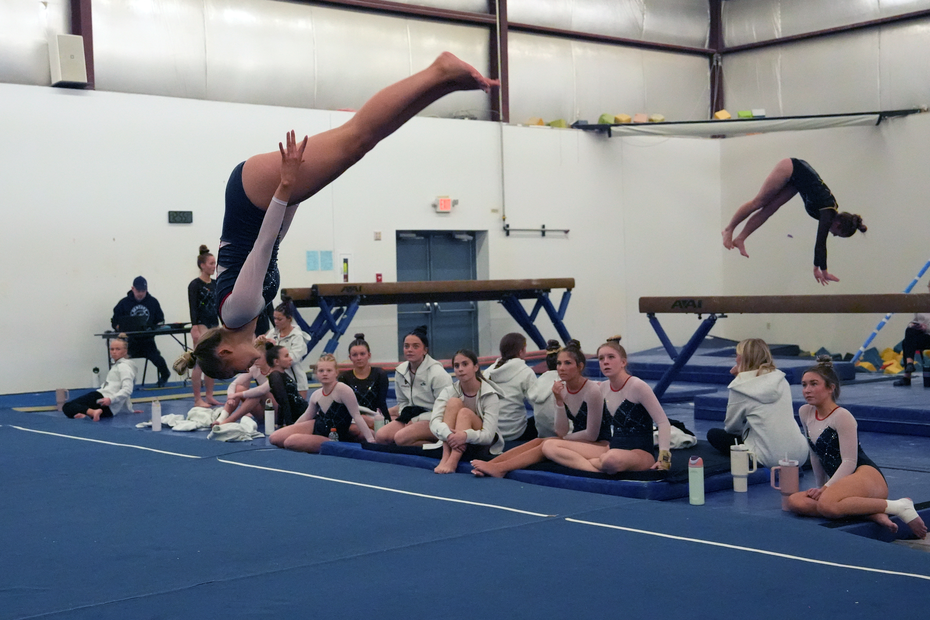 Bismarck Century Logo