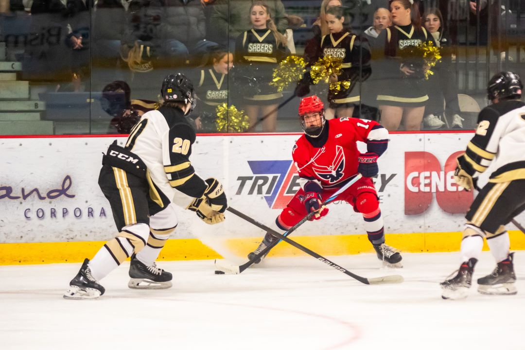 Bismarck Century Logo