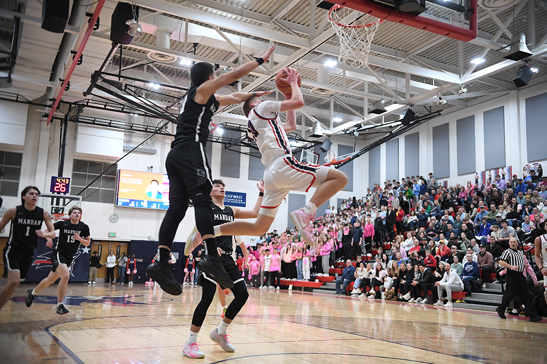 Bismarck Century Logo