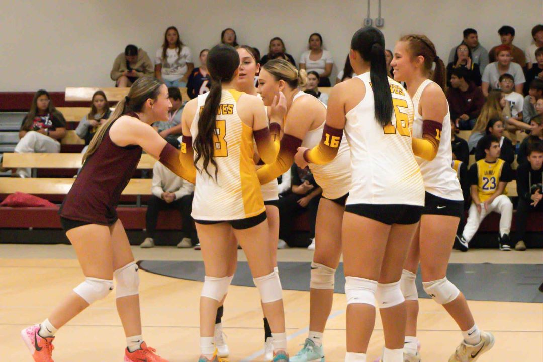 TMCHS (Belcourt) Logo