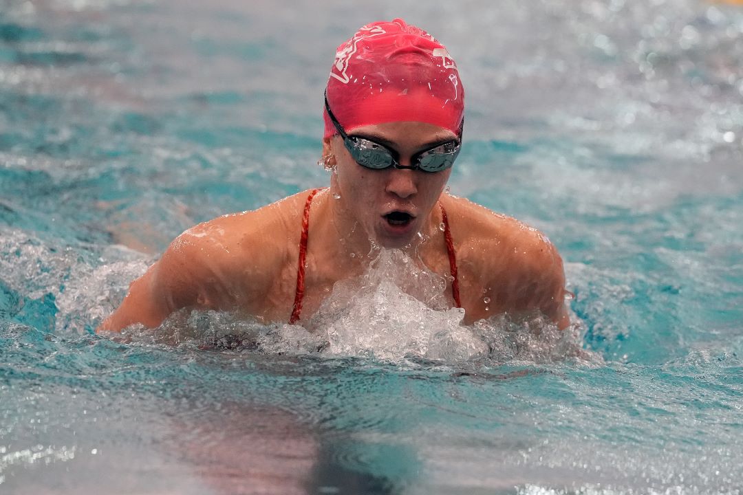 Bismarck Century Logo