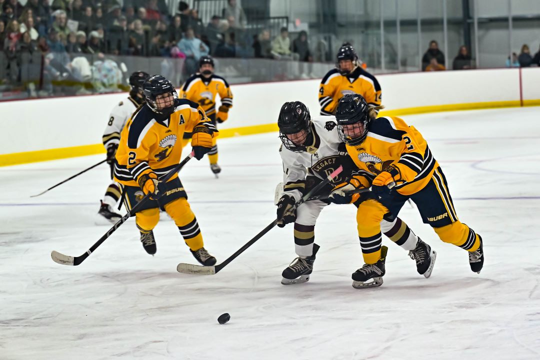 Fargo North-South Logo