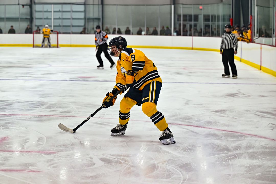 Fargo North-South Logo