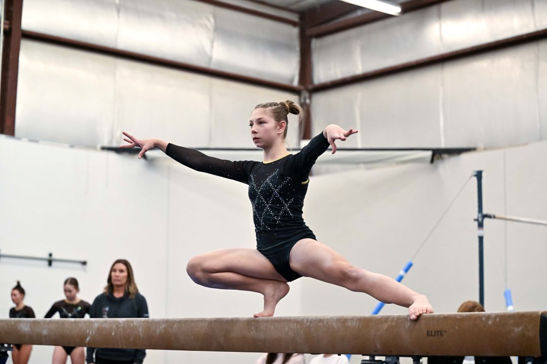 Bismarck Legacy Logo