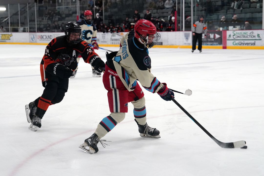 Bismarck Century Logo