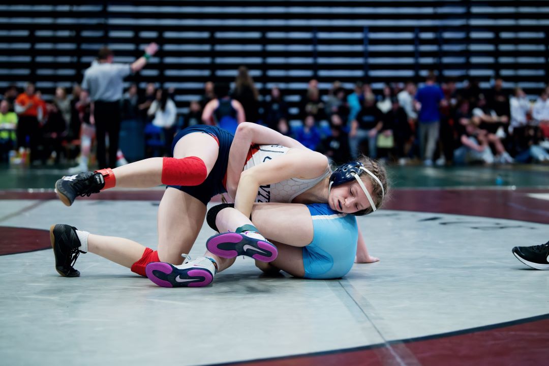 Bismarck Century Logo