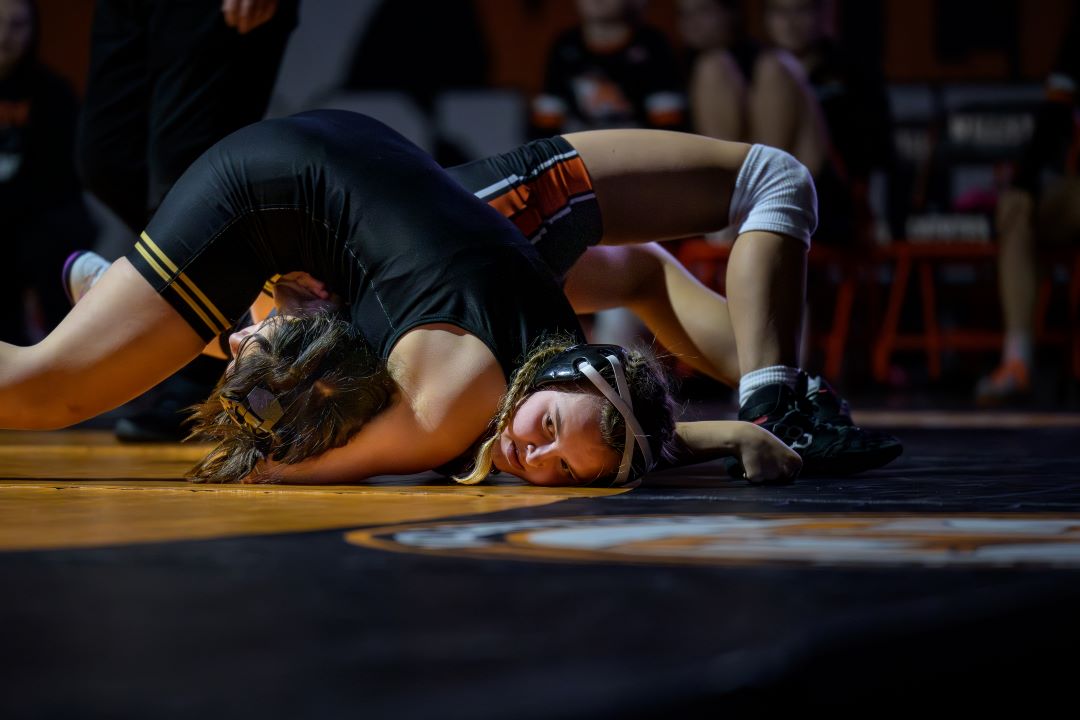 Bismarck Legacy Logo