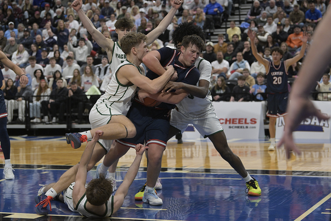 Bismarck Century Logo