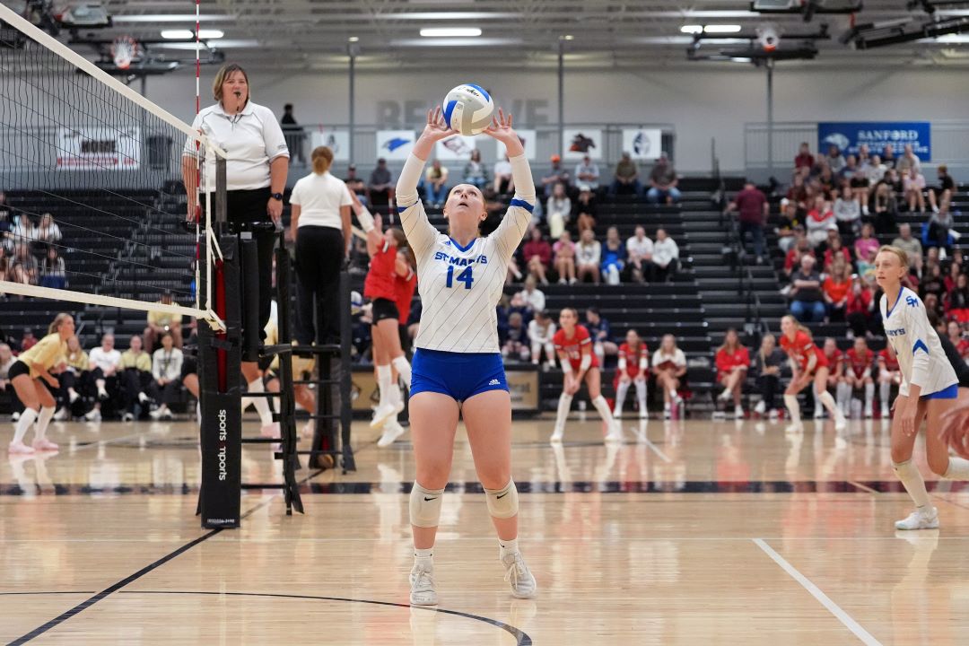 Volleyball