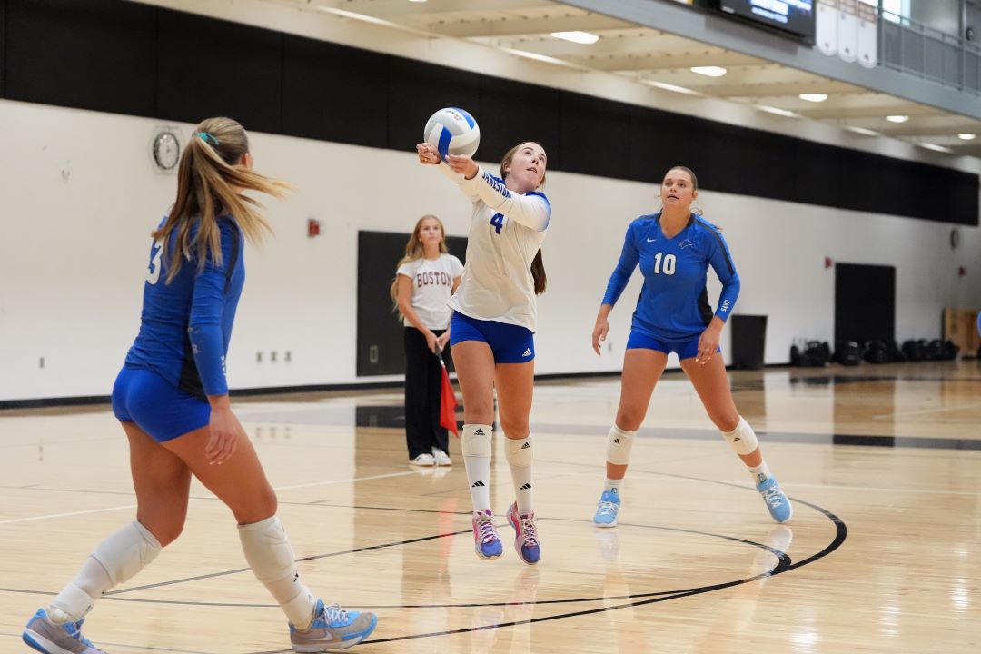Volleyball
